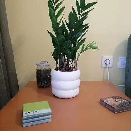 το σπίτι του στράτου στη θεσσαλονίκη- Stratos' In Appartement